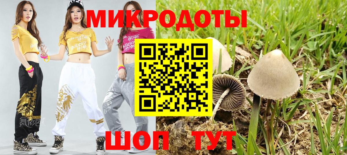Соль-Илецк  Псилоцибиновые грибы ЛСД  Вход с VPN 